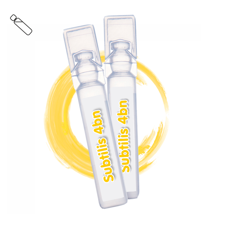 Bacillus subtilis 4B