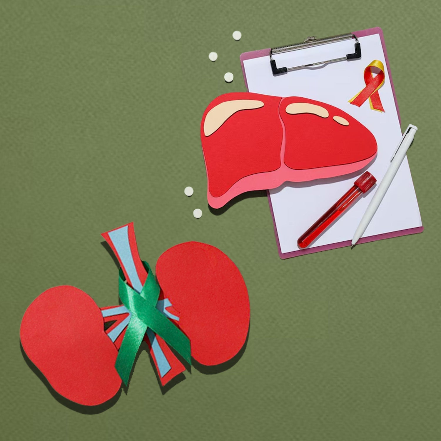 Liver Project Examples Kidney & Liver – Lifestarter Project