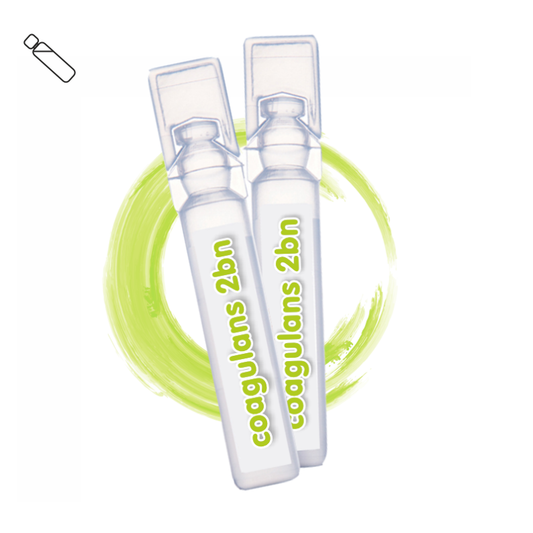 Bacillus coagulans 2B
