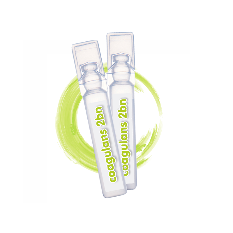 Bacillus coagulans