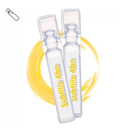 Bacillus subtilis 4B
