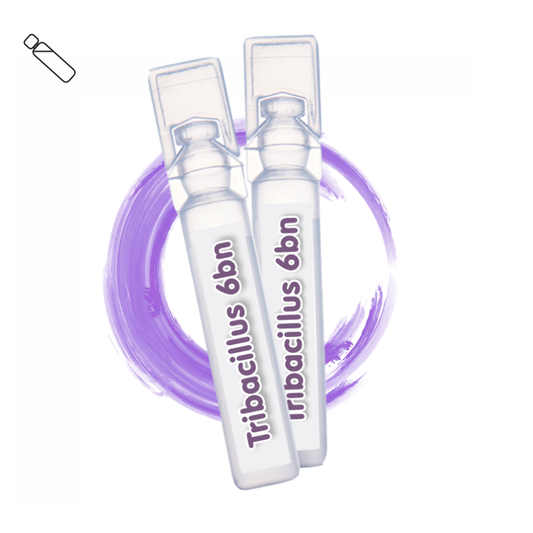 Triple Bacillus 6B